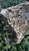 20190406_160053.webp