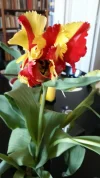 20190406_182033.webp