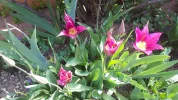 20190407_111803.webp