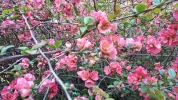 20190407_090905.webp
