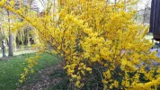 20190407_090850-3456x1944.webp