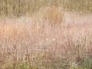 P4070780 (2).webp