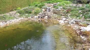20190407_154321.webp