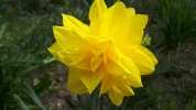 20190408_111721.webp