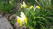 20190408_111704.webp