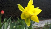 20190408_111645.webp
