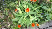 20190408_111626.webp