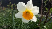20190408_111610.webp