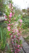 20190408_111542.webp