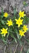 20190409_131222.webp