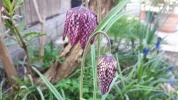 20190409_093306.webp