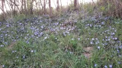 20190409_065207.webp