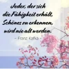 FB_IMG_1554812299662.webp