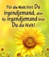 310201901414.webp