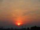 IMG_2409.webp