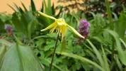20190410_102524.webp