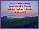 erkennen.webp