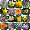 inCollage_20190413_123126330.webp