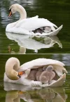FB_IMG_1555103464089.webp