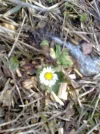 Bild000.webp