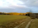 Bild025.webp