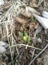 Bild 040.webp