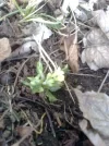 Bild 041.webp