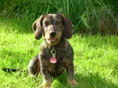 004.webp