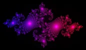 drachen_back.webp