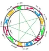 venus_fuenfstern_klein1.webp