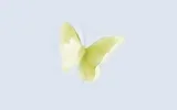 schmetterling2.webp