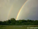 Regenbogen.webp