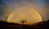 rainbow.webp