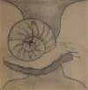 snail.webp