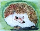 Tieraufzucht HP.webp