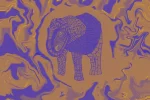 altero_anima_neonversion.webp