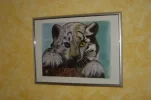 Bild.webp