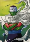 piccolo.webp