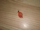P7153680.webp