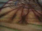 netzw11-300x225.webp