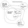 brahman3.webp