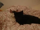 Emma und Emily 2.webp