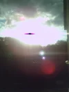 PICT0005.webp