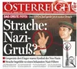 strache2.webp