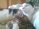 Felix&Phoebe2.webp