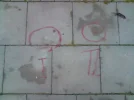 P020809_06.13.webp