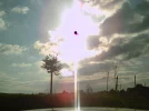 PICT0001.webp