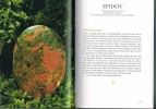 Epidot- Die Genesung.webp