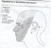 Slika 001.webp