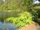 DSC00435.webp